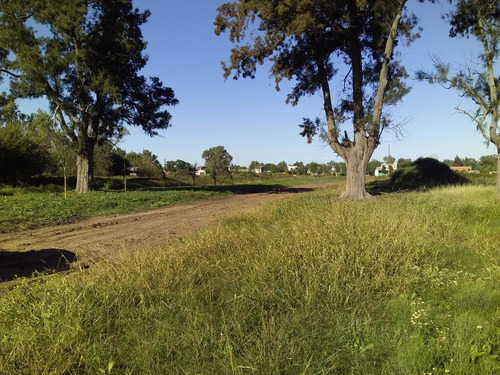 Terreno En Venta - 337 Mts2 - Melchor Romero