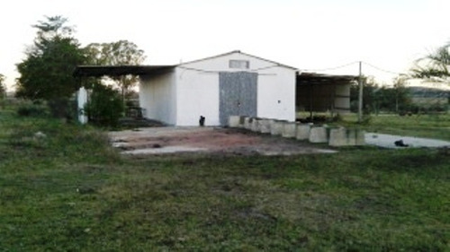 Quinta En Venta De 2 Dormitorios En Maldonado