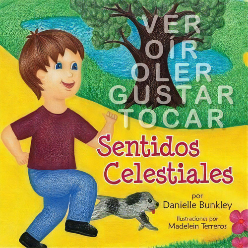 Heavenly Senses (spanish), De Danielle Bunkley. Editorial Teach Services Inc, Tapa Blanda En Español