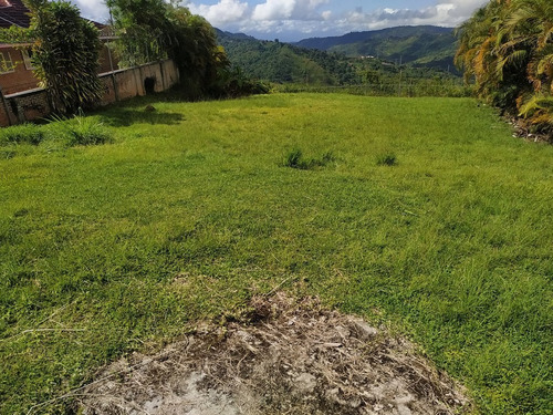 Imagen 4 de 7 de Terreno En Venta Los Guayabitos 1250m2