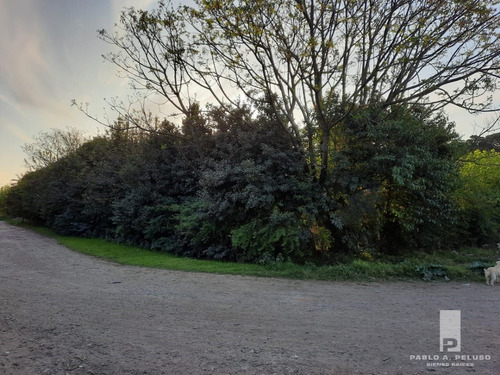 Lote/ Terreno. Libertad, Merlo. Zona Oeste. Buenos Aires