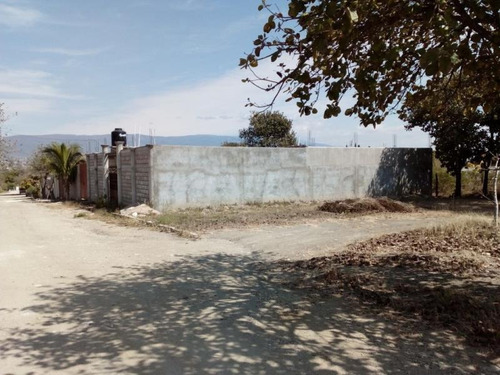 Imagen 5 de 8 de Terreno En Venta Las Flechas