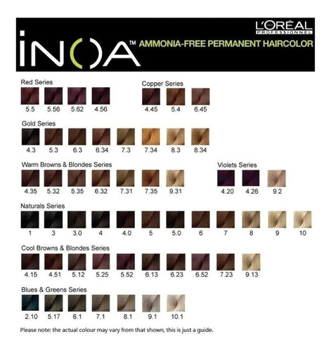 Tintura Inoa Loreal Sin Amoniaco 60gr + Revelador Fraccionad