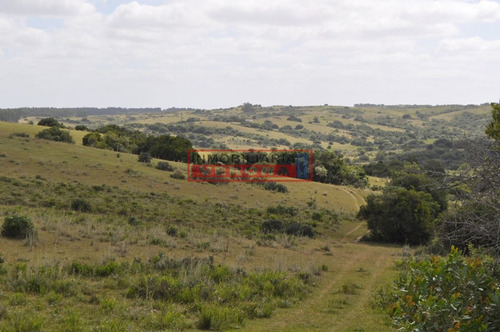 Imagen 12 de 30 de Venta Campo Ubicado En Garzón