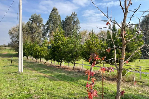Se Vende Sitio 5000 M2 Loteo Haras De Huiquilemu