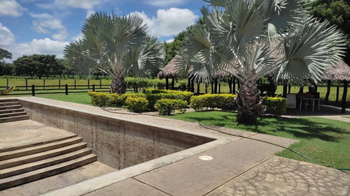 Imagen 8 de 8 de Venta De Espectacular Finca Productiva En Guárico - Inmobiliaria Maggi 1246