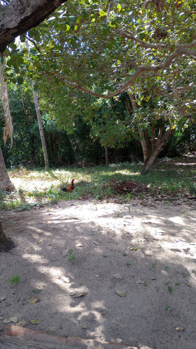 Terreno Com Casa Pequena