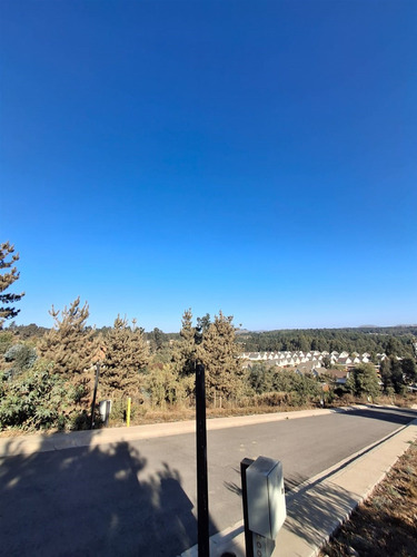 Espectaculares Sitios Planos I Condominio I Los Pinos Reñaca