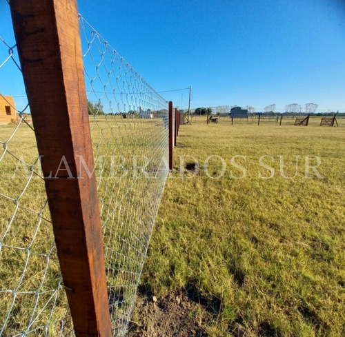 Imagen 5 de 10 de Alambrados Olímpicos, Cercos Perimetrales.