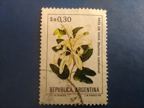 Estampilla Antigua Argentina Flor Pata De Vaca Año 1982