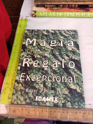 La Magia De Un Regalo Excepcional Roger Patron Luján