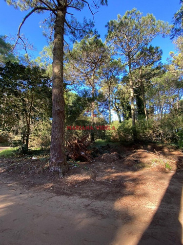 Terreno En Venta En Carilo. Zona 2. Frente Al Tenis.