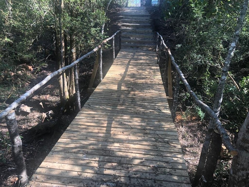 Imagen 7 de 27 de Hermosas Parcelas Insertas En El Bosque Nativo En Pucon