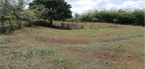 Lote En Venta Sector Cerritos/pereira  (2791024501).