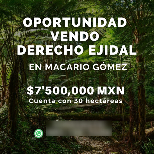 Oportunidad Venta Derecho Ejidal En Macario Gómez