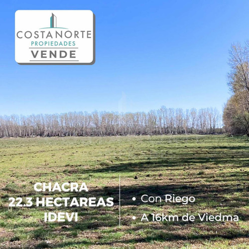 En Venta Chacra De 22.3 Ha. En Idevi.