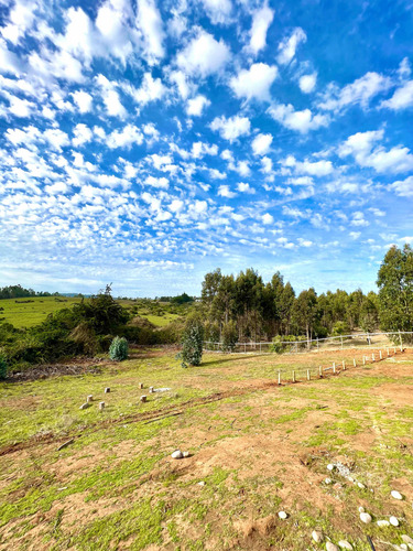 Parcela De 5000 M2, Casa, Cabaña, Dpto, Bodega, El Pangal