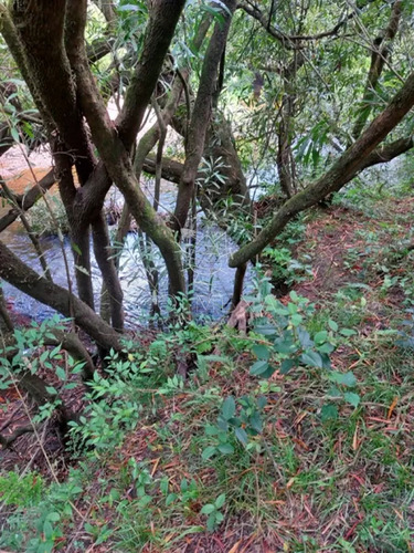 Campo 11 Has Con 683 M2 En Paraje Pueblo Eden