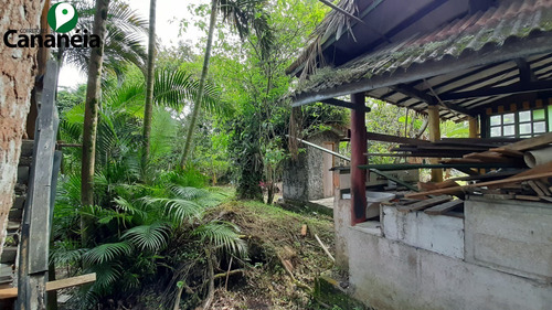 Imagem 24 de 25 de Ótimo Terreno Com 1.150,00 M² No Jardim Candairó - Cananéia - Litoral Sul De Sp - Te00087 - 70424942