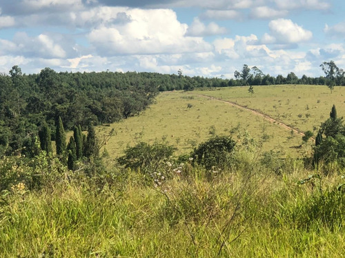 Imagem 1 de 1 de Terreno Em Mairinque
