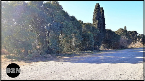 Imagen 3 de 8 de Campo 4 Hectareas En Arrecifes.