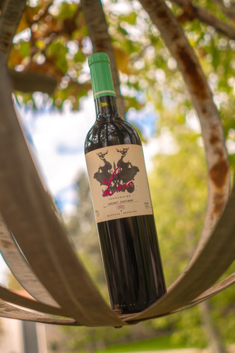 Imagen 2 de 3 de Vino Tempus Alba Loco Cabernet Sauvignon 750 Ml