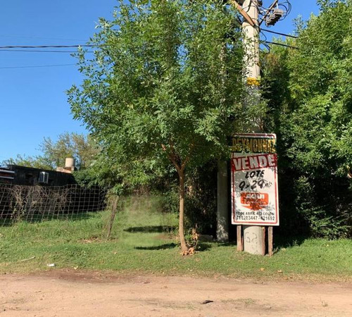 Terreno En Venta Zona Comercial De Colón