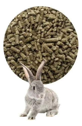 Pellet Alimento Completo De Conejo 10 Kg A Granel