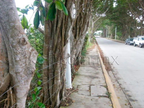 Imagen 5 de 12 de Terreno En Venta Petrolera