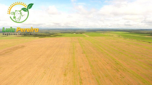 Imagem 1 de 15 de Fazenda À Venda Em Aparecida Do Rio Negro - To -1331 Hec (agricultura) - 1925