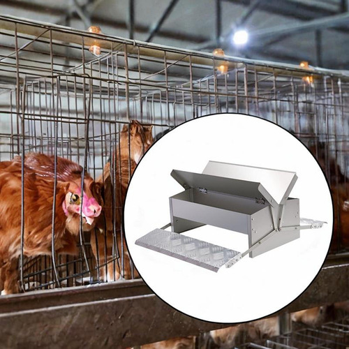 Alimentador Automático De Frango Com Alimentos De
