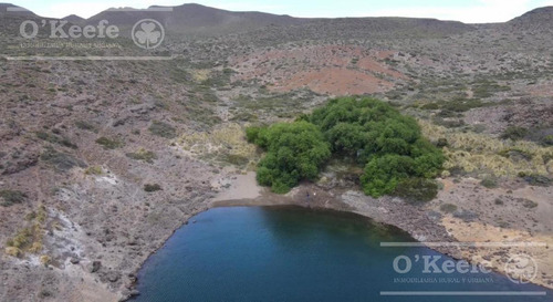 Imagen 8 de 28 de 8.805 Has En Neuquen Venta / Alquiler, Con 18 Km De Costa Del Embalse Piedra Del Águila.