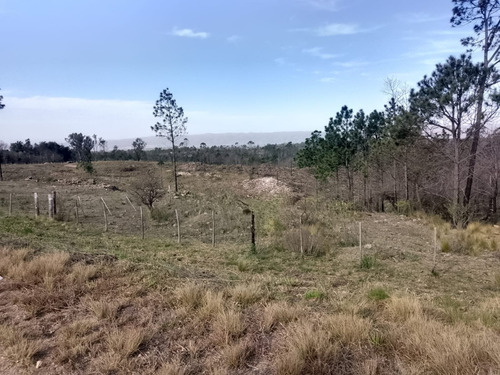Fraccion Sobre Ruta 109 En Villa General Belgrano Apto Permuta