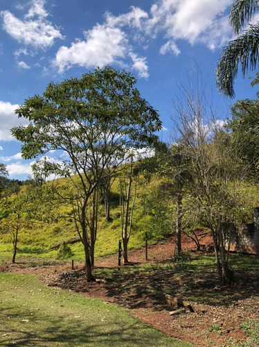 Imagem 3 de 14 de E08- Oportunidade Unica Lotes De 2500m² Por Apenas 45,000