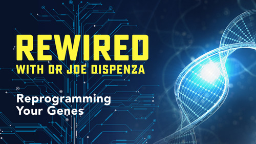 Rewired - Joe Dispenza - Español (Usado)