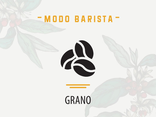 Combo X 8 Variedades De Cafe De Especialidad Modo Barista