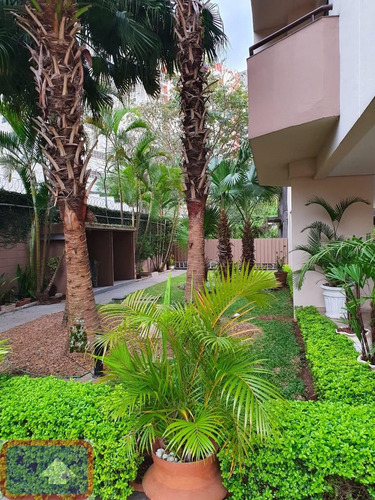 Imagem 14 de 21 de Apartamento No Panamby Morumbi - 16306