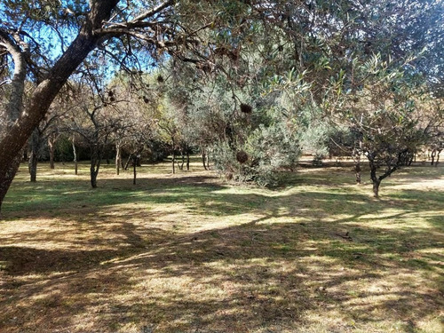 Imagen 7 de 7 de Terrenos 1000 M2 Venta Nuevo Merlo, Merlo San Luis