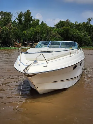 Crucero Canestrari 275 Mercruiser 300 Hp Pata Bravo 3  