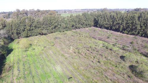 Imagen 13 de 13 de En Venta Importante Chacra 5.5 Hectareas Con Emprendimiento