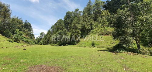 Imagen 11 de 18 de Terreno En Venta.