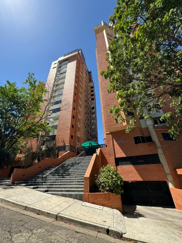 Alquiler De Apartamento Tipo Estudio En Urb. El Bosque Tl16-inp