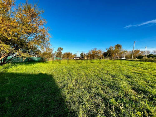 Venta Terreno 550m² En Luis Palacios