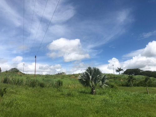 Imagen 5 de 17 de Vendo Granja Avicola Bejuma ( Ricardo Perera)