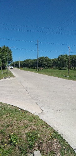 Imagen 10 de 17 de Galpon En 2 Lotes Mar De Ajo Propuesta Comercial