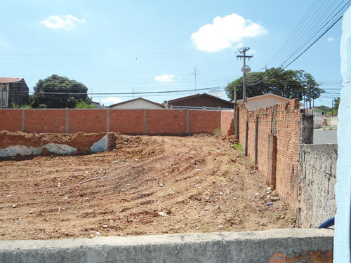 Terreno - Te00012 - 69194711