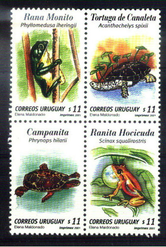 2001 Fauna- Reptiles- Rana- Tortuga - Uruguay ( Sellos) Mint