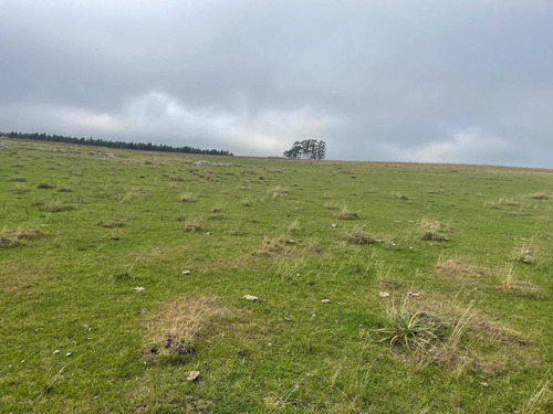 Imagen 3 de 21 de 270 Hectareas Ganaderas A 28 Km De Minas 3300 Dólares La Hec