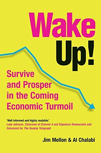 Livro Wake Up! Survive And Prosper In The Coming Economic Turmoil - Jim Mellon [2005]
