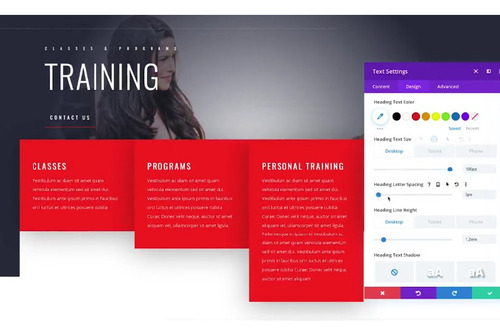 Divi (licencia + Builder) 2 Licencias Originales De Por Vida